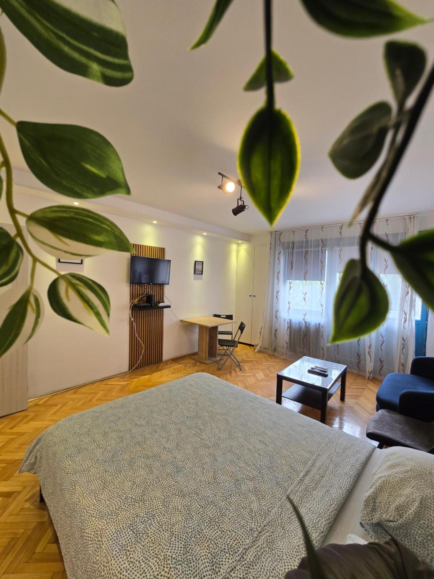 Azzurro Studio Apartment Belgrad Exterior foto